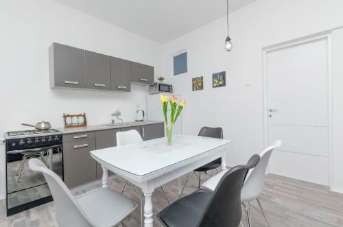 Apartment Bo�idar