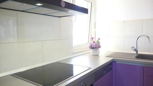 Apartment Rukavac 8839c