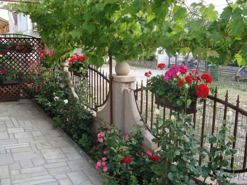 Apartment Vodice 11544c