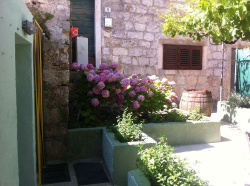 Apartment Tonka Hvar