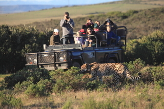 Hotel Garden Route Game Lodge