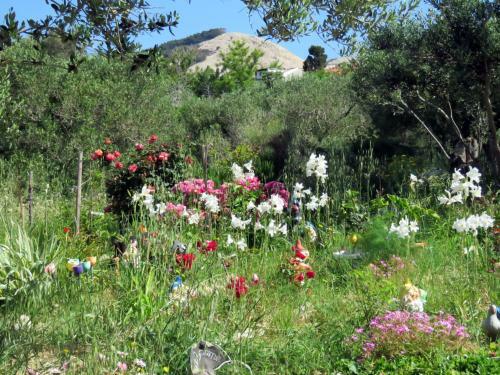 Apartments Opsenica