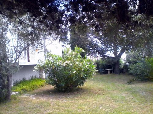 Apartment Zan I Anamarija