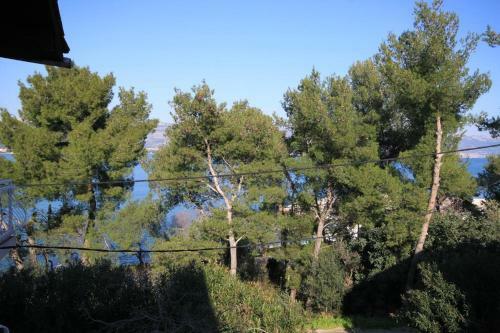 Apartment Arbanija 8651b