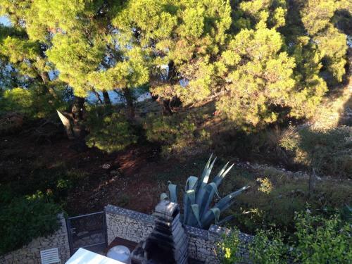 Apartamentos Studio Rogoznica 11425b