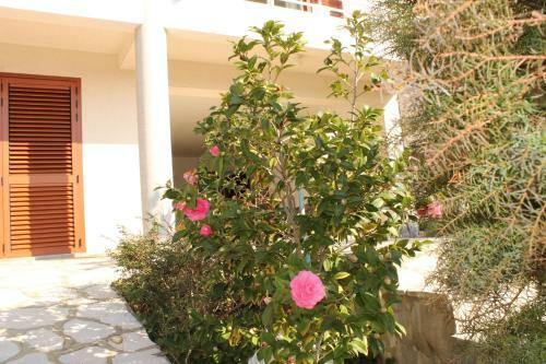 Apartments Vila Marica