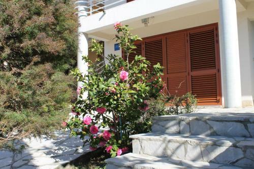 Apartments Vila Marica