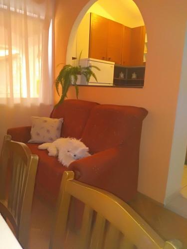 Kampor Apartment 8