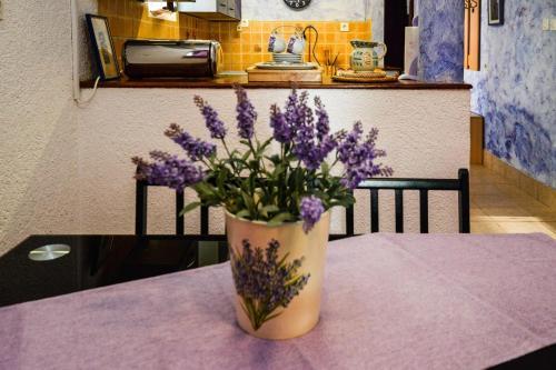 Apartment In Pula/istrien 11080