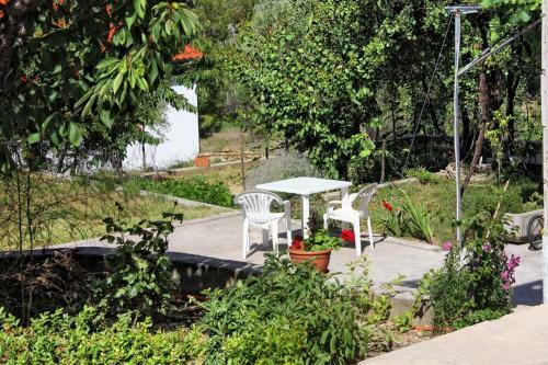 Apartments With A Parking Space Kampor (rab) - 5029