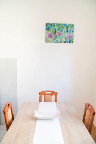 Apartments Centar
