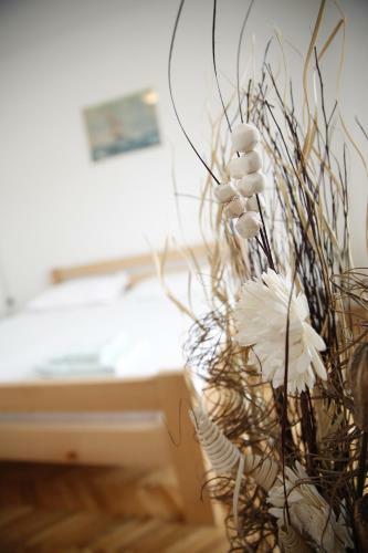 Apartments Centar