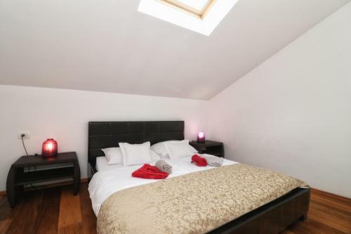 Hostal Kseni Accommodation