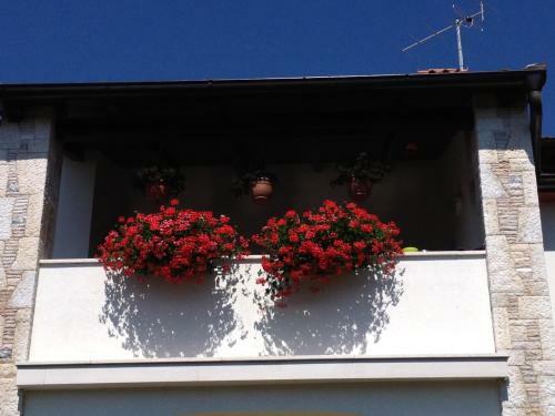 Apartments Nena