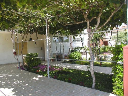 Apartment An�i�.5