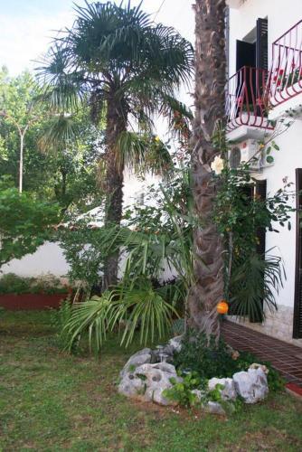 Apartment Selce 5497c