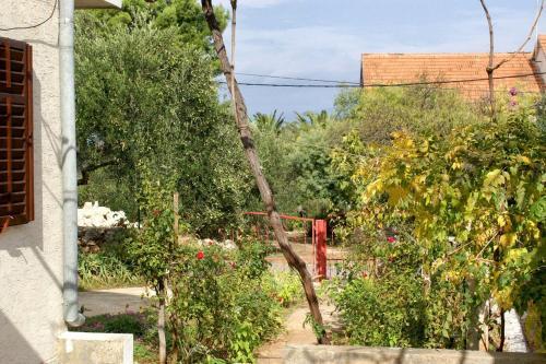 Apartments By The Sea Mirca (brac) - 2854