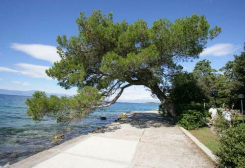 Hostal Apartmani Cvelic