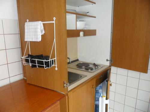 Apartamentos Maslov