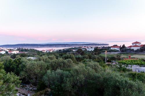 Apartments Jasna