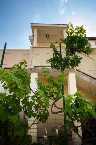 Apartments Jasna
