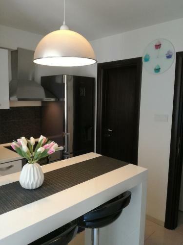 Hostal Guest House Exalto