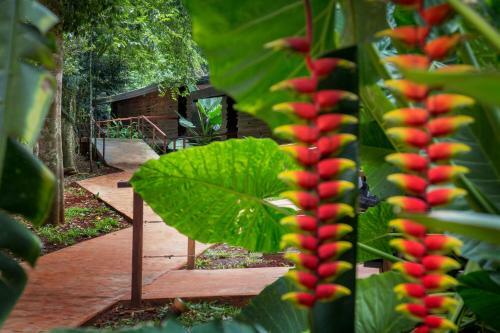 La Reserva Virgin Lodge