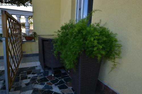 Apartment In Pula 16