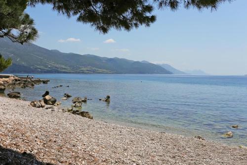 Apartments With A Parking Space Orebic (peljesac) - 10102