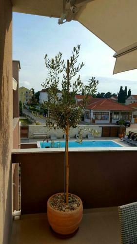 Antonija Apartments With Pool