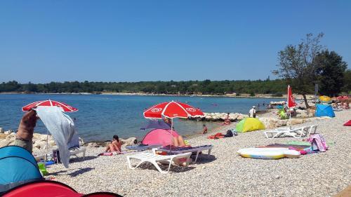 Apartment Porec 6950b