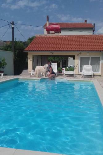 Apartment Supetarska Draga - Donja 2019b