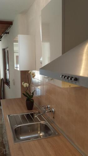 Apartment Stegic 1234
