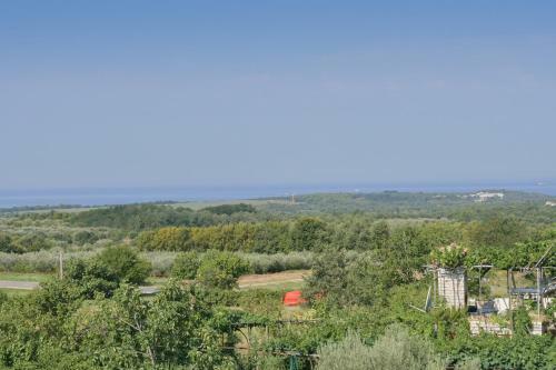 Apartment Borgo 8