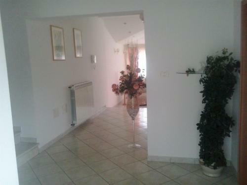 Apartments Nada
