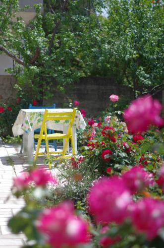 Hostal Dino And Jele Apartments