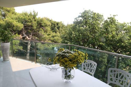 Beach Apartments Dumi?i?