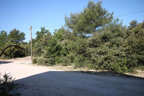 Apartment Biograd Na Moru 6227b
