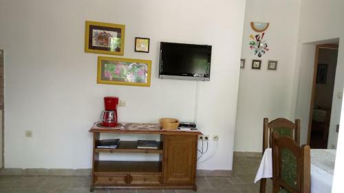 Apartment Burin Dvor