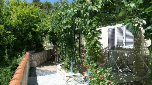 Apartment Burin Dvor