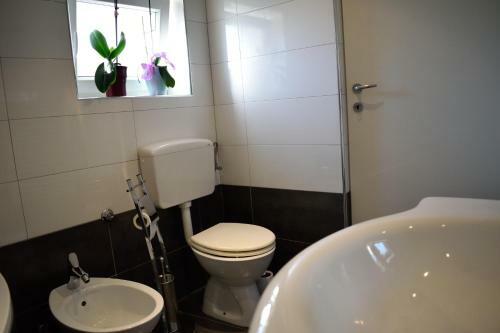 Aurelia Apartment