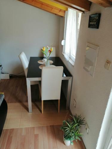 Apartamento Studio Central