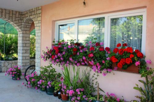 Hostal Apartment Barbat 5005b