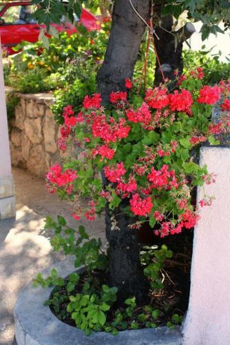 Hostal Apartment Barbat 5005b