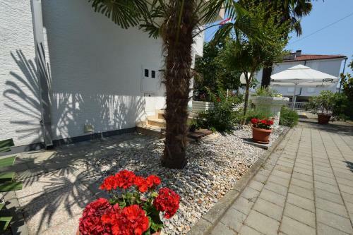 Apartments Zoric
