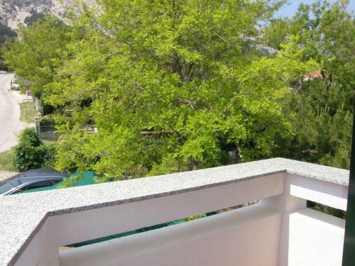 Apartments Pintar Zarok