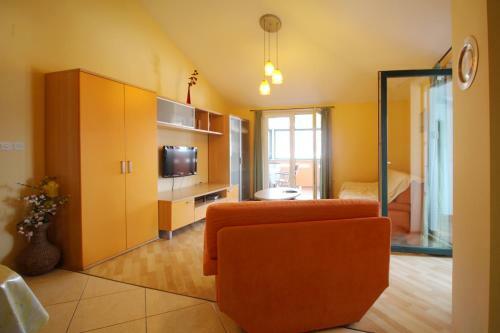 Apartments Pintar Zarok