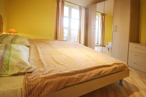 Apartments Pintar Zarok