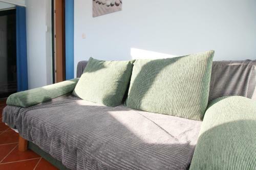 Apartments Pintar Zarok