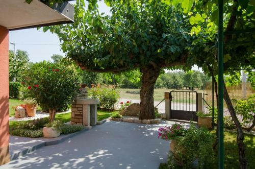 Villa Roza
